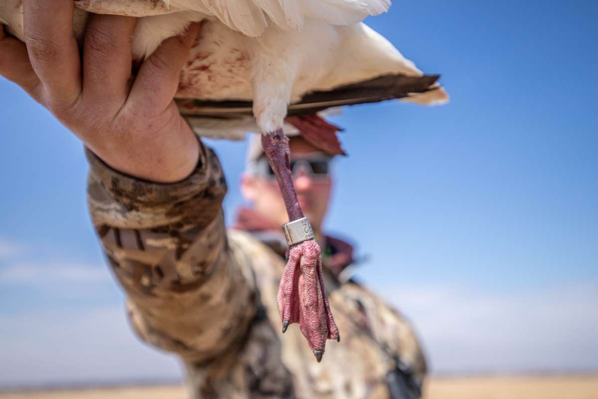 South Dakota 